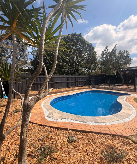 Native Pool Scapes — garden renewal project in Gordon Park, Brisbane
